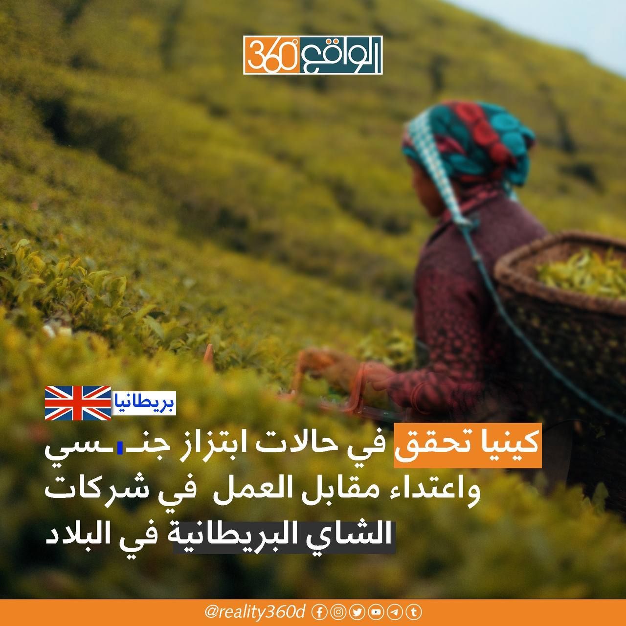 كينيا تحقق في حالات ابتزاز جنسي واعتداء مقابل العمل في شركات الشاي البريطانية في البلاد
