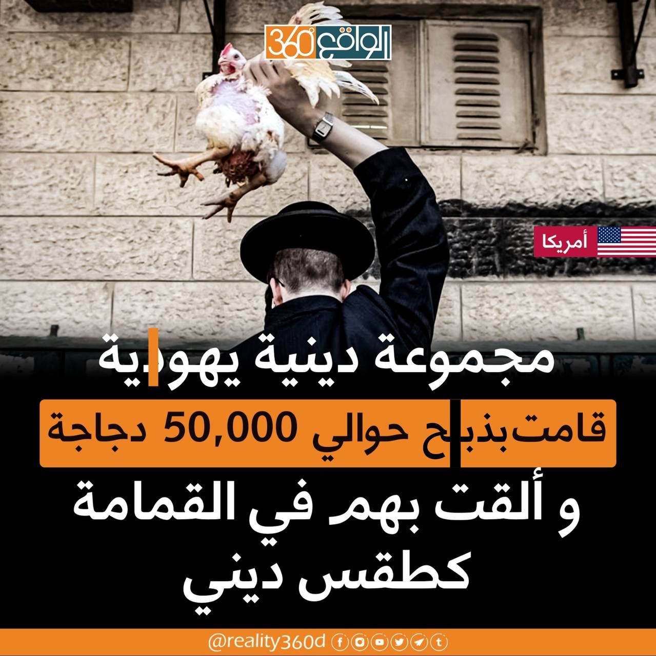 مجموعة دينية يهودية قامت بذبح حوالي 50,000 دجاجة وألقت بهم في القمامة كطقس ديني